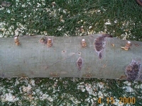 2000-Fall-7