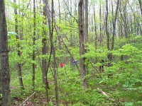 2005-Spring-12