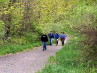 2005-Spring-5