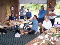 2006-Fall-Hammond-18