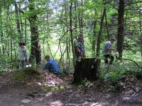 2006-Summer-1-Martin-John-Boyle-28