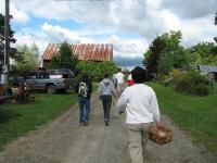 2007-Fall-Hammond-15