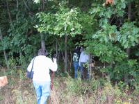 2007-Fall-Hammond-17