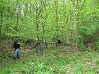 2007-Spring-12