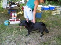 2007-Summer-1-Martin-7