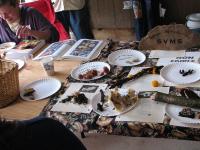 2008-Fall-Hammond-15
