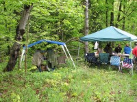 2008-Spring-19