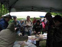 2008-Spring-3