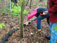 2008-Spring-43