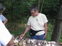 2008-Summer-1-Martin-1
