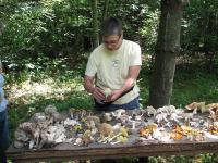 2008-Summer-1-Martin-44