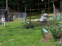 2008-Summer-2-Progy-71