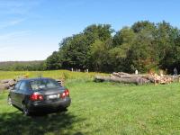 2009-Fall-Hammond-14