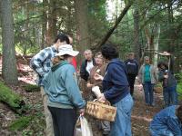 2009-Fall-Hammond-27
