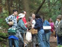 2009-Fall-Hammond-28