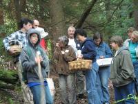 2009-Fall-Hammond-29