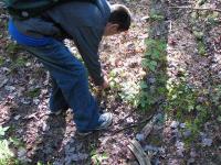 2009-Fall-Hammond-30