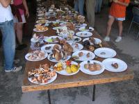 2009-Fall-Hammond-52