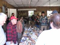 2009-Fall-Hammond-68