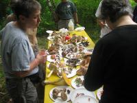 2009-Summer-1-Martin-12