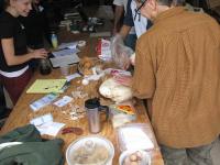 2010-Fall-Hammond-13
