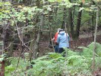 2010-Fall-Hammond-20
