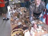 2010-Fall-Hammond-27