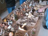 2010-Fall-Hammond-48