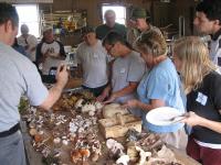 2010-Fall-Hammond-54