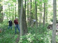 2010-Spring-Littlefields-26