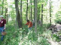2010-Spring-Littlefields-27