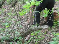 2010-Spring-Littlefields-30