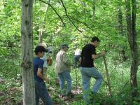 2010-Spring-Littlefields-32