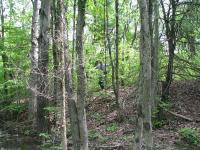 2010-Spring-Littlefields-33