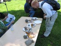 2010-Spring-Littlefields-35