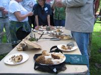 2010-Spring-Littlefields-37