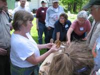 2010-Spring-Littlefields-38