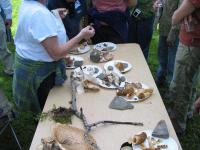 2010-Spring-Littlefields-42