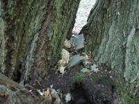 2011-Fall-Hammond-11