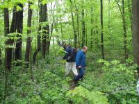 2011-Spring-17