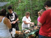 2011-Summer-1-Martin-11