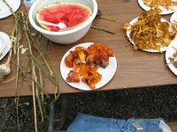 2011-Summer-2-Progy-47
