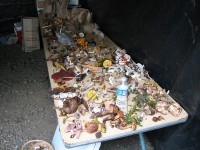 2011-Summer-2-Progy-50