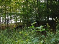 2012-Fall-Hammond-21