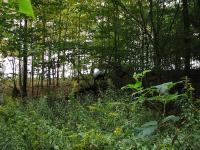 2012-Fall-Hammond-22
