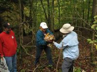 2012-Fall-Hammond-26