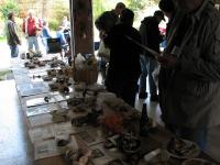 2012-Fall-Hammond-31