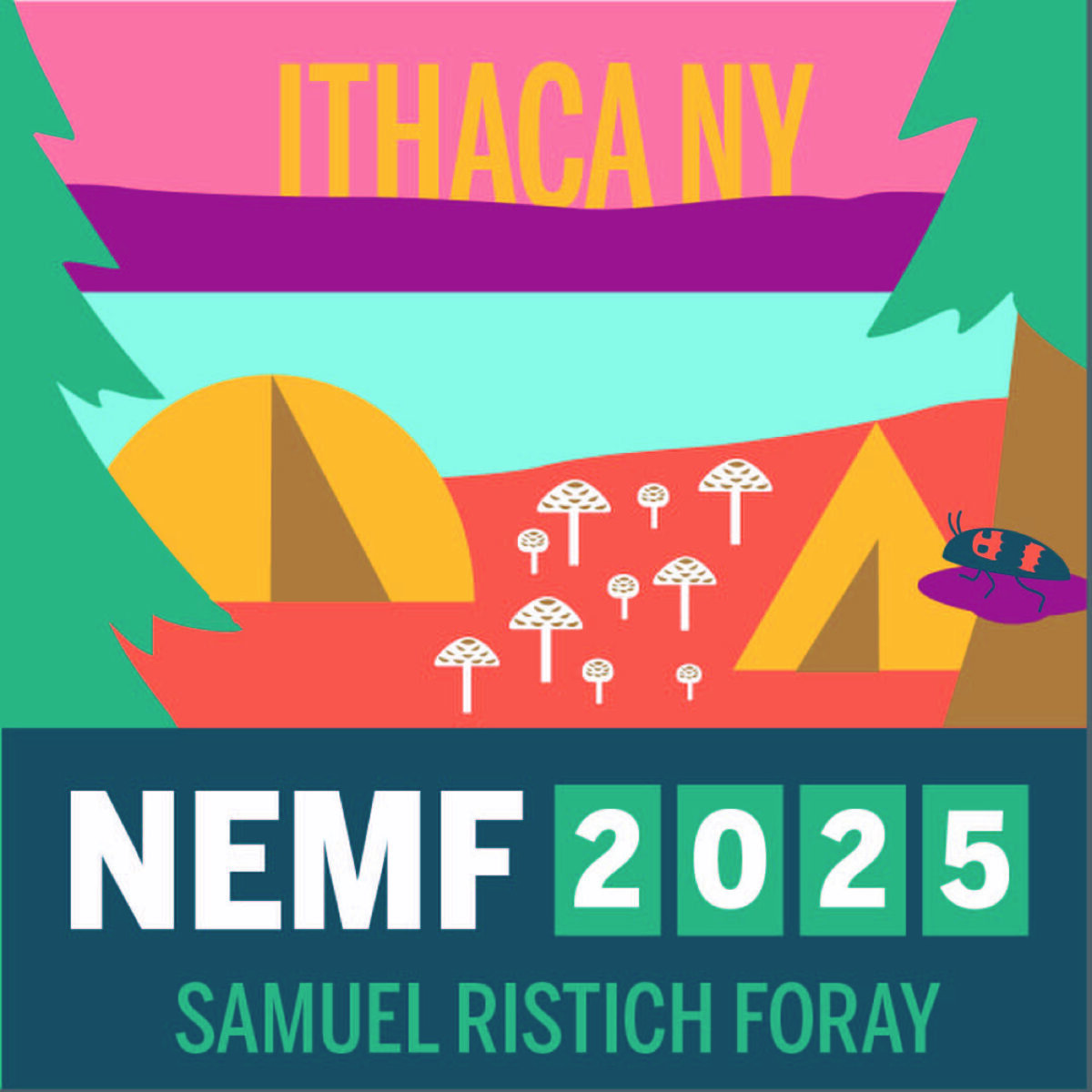 We’re Hosting NEMF 2025 – Get Involved!